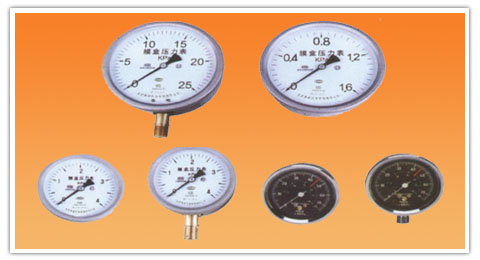 YE-160(Z)，106(Z)，75(Z)係列膜盒壓力表